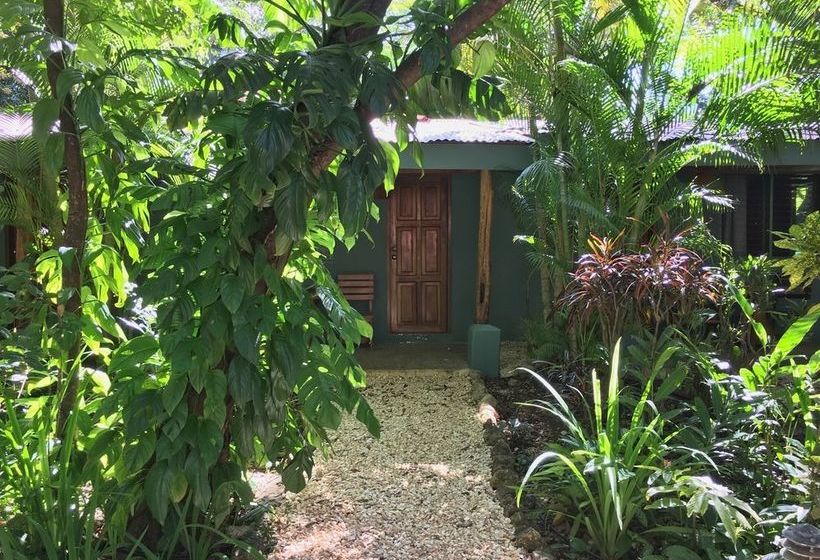 호텔 Harbor Reef Beach & Surf Resort