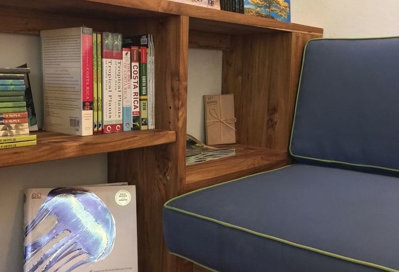 호텔 Harbor Reef Beach & Surf Resort