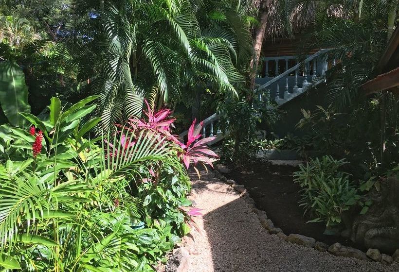 호텔 Harbor Reef Beach & Surf Resort