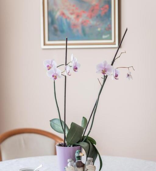 酒店 Kaiser Panzió