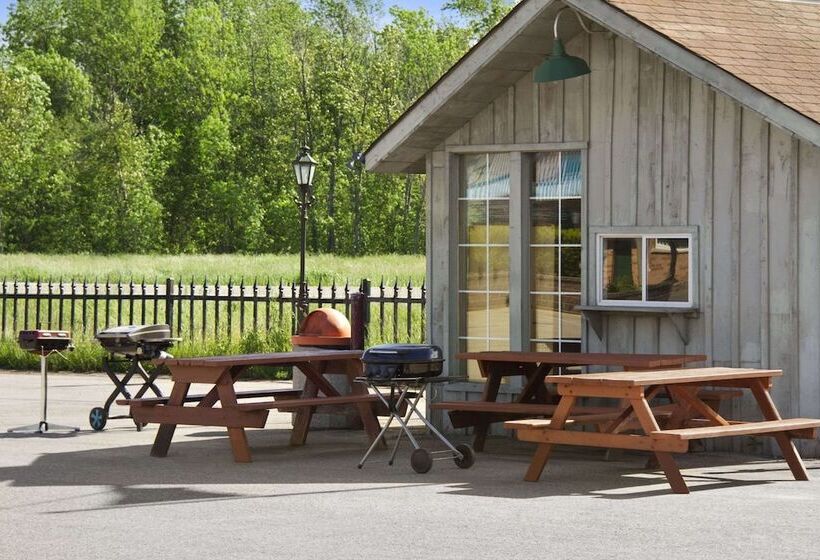 فندق Knights Inn Lindsay