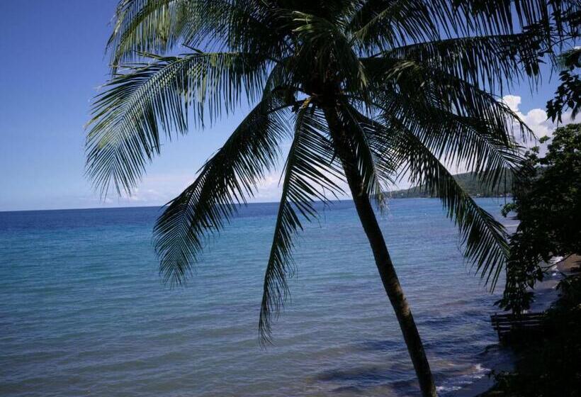 فندق Las Flores Beachside