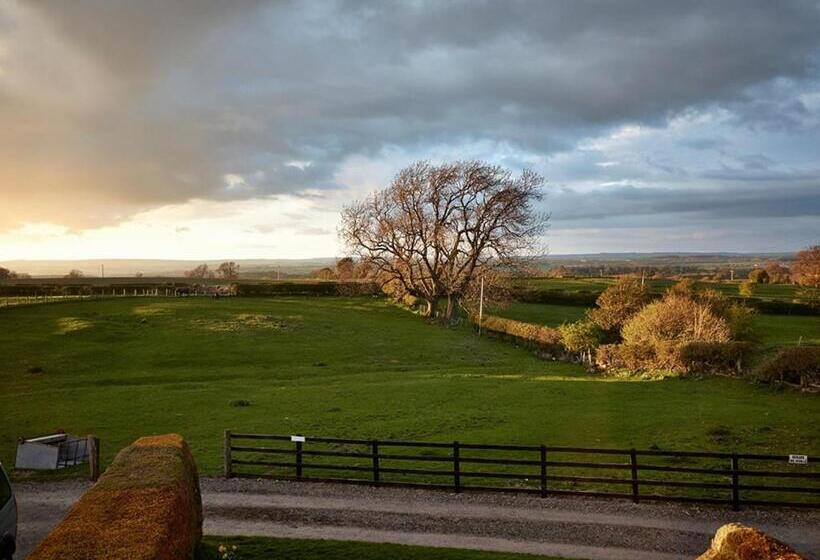 ホテル Lily Hill Farm