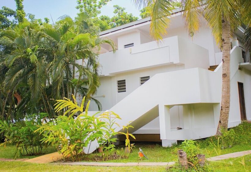 호텔 Loharano Lodge