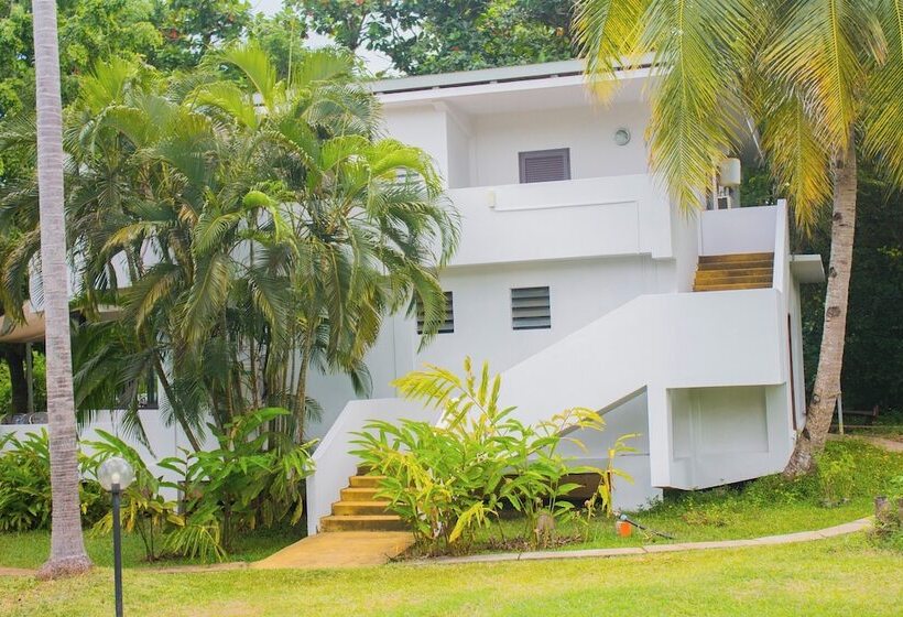 호텔 Loharano Lodge