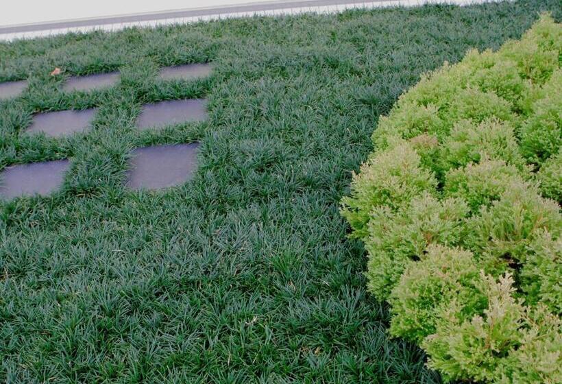 Отель Meitetsu Inn Chita Handa Ekimae