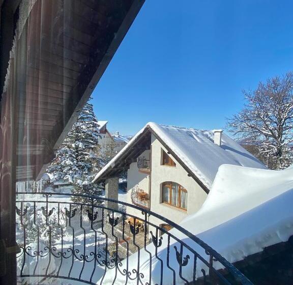 Отель Pensiunea Crocus Sauna & Billiard