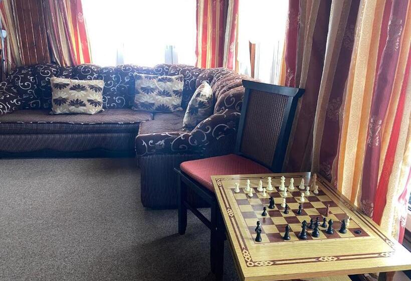 Отель Pensiunea Crocus Sauna & Billiard