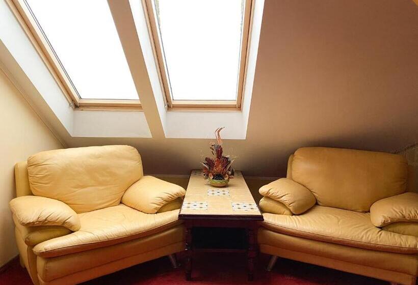 Отель Pensiunea Crocus Sauna & Billiard