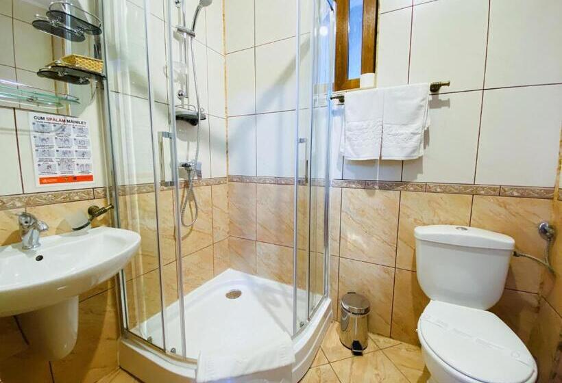 Отель Pensiunea Crocus Sauna & Billiard