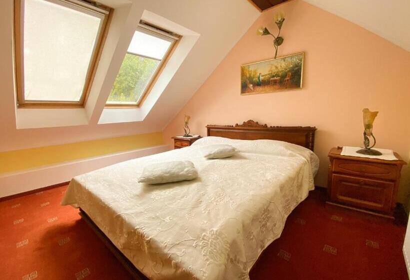 Отель Pensiunea Crocus Sauna & Billiard