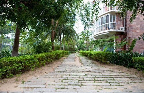 בית מלון כפרי Qing Tian Yu Tan Service Apartment