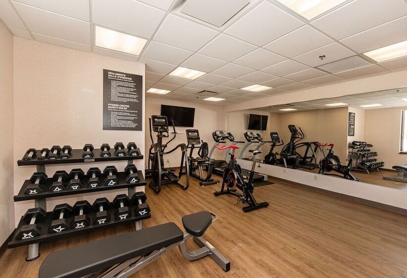 فندق Quality Inn & Suites