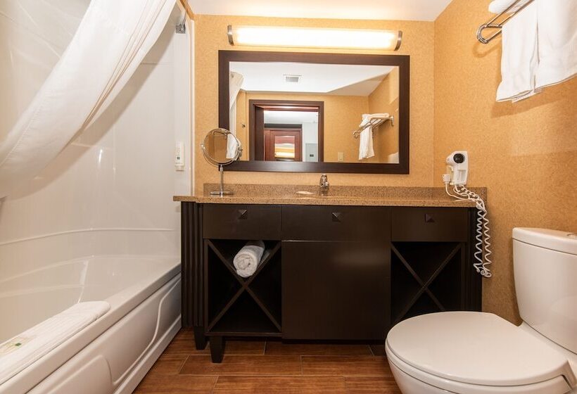 فندق Quality Inn & Suites