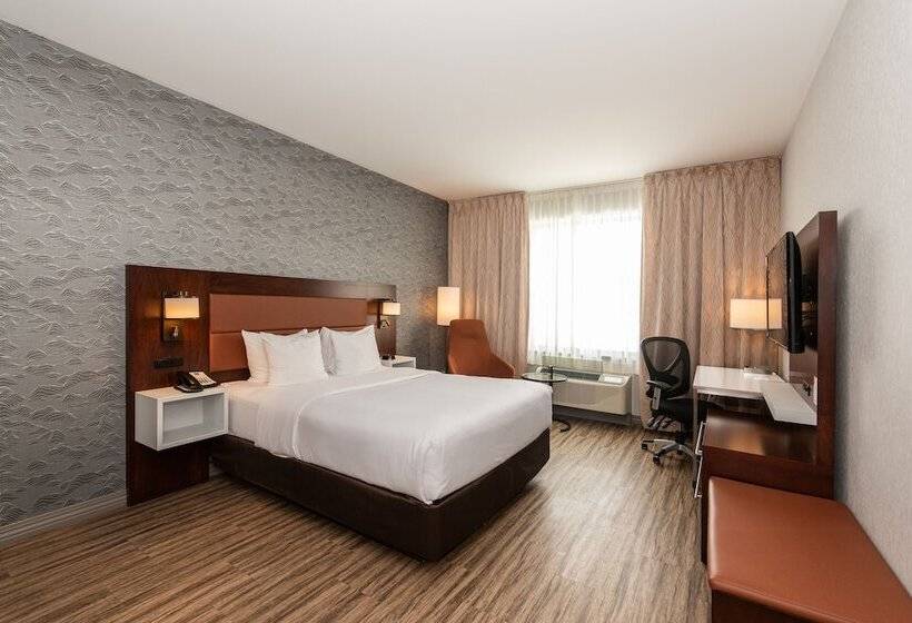 酒店 Quality Inn & Suites