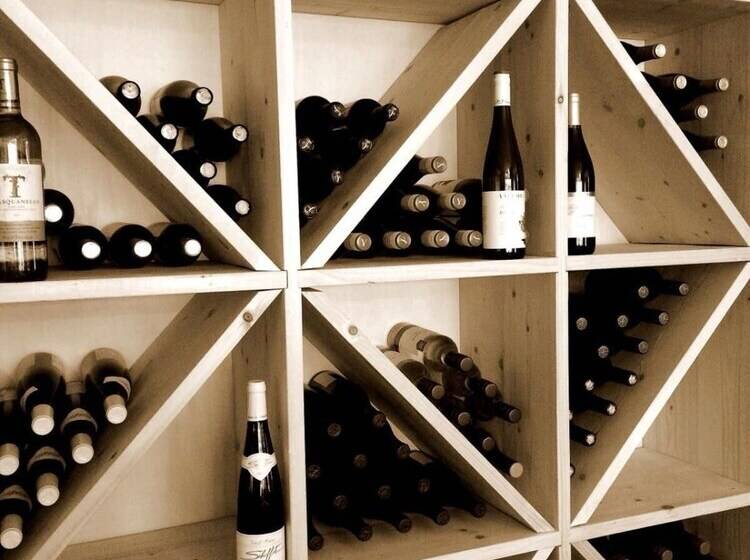 בית מלון כפרי & Restaurant Wildthout