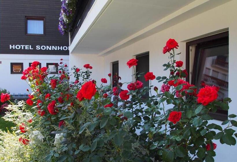 호텔 Sonnhof