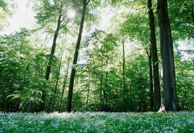 בית מלון כפרי Vejlefjord