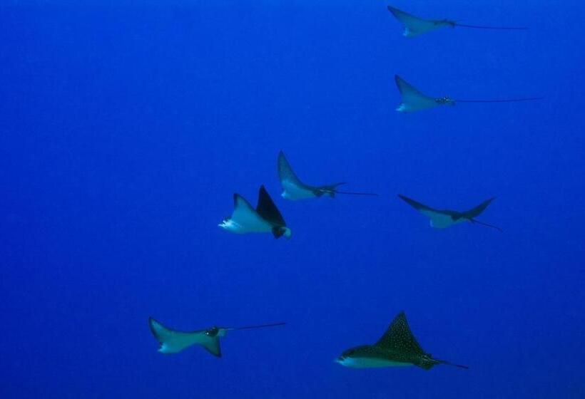 Kosrae Nautilus Resort