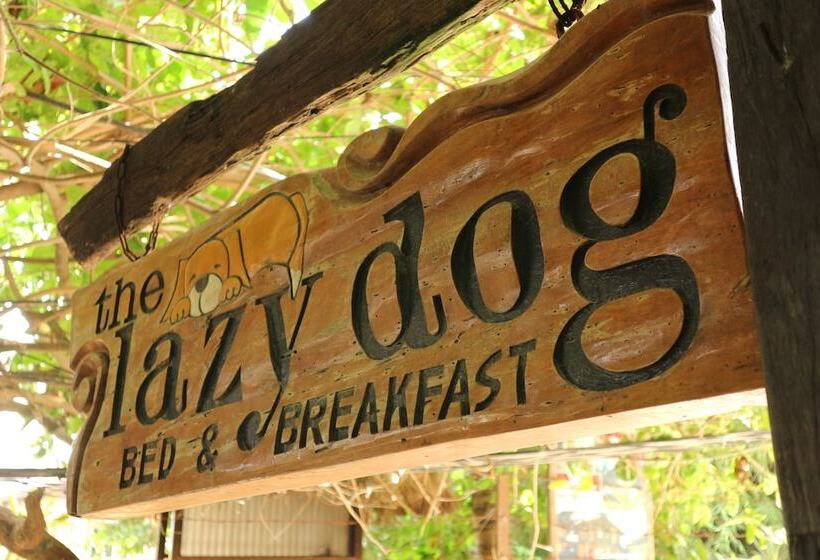 Lomakeskus Lazy Dog Bed & Breakfast