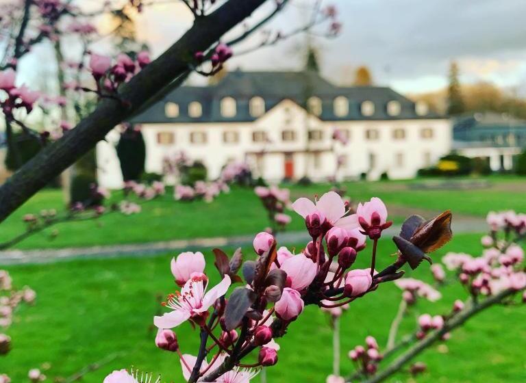 Schloss Auel Boutique Hotel & Design Golf Lodge