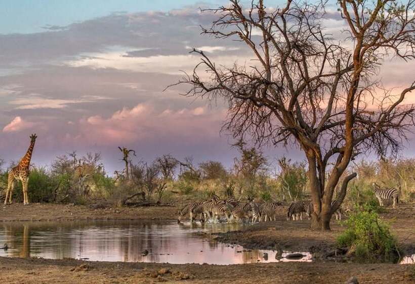 Tuningi Safari Lodge