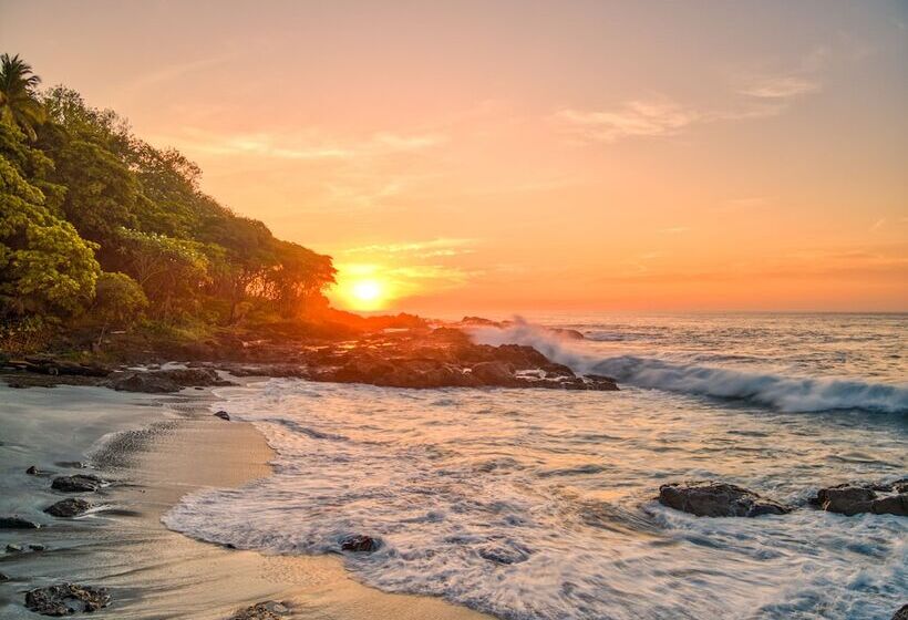 Ylang Ylang Beach Resort