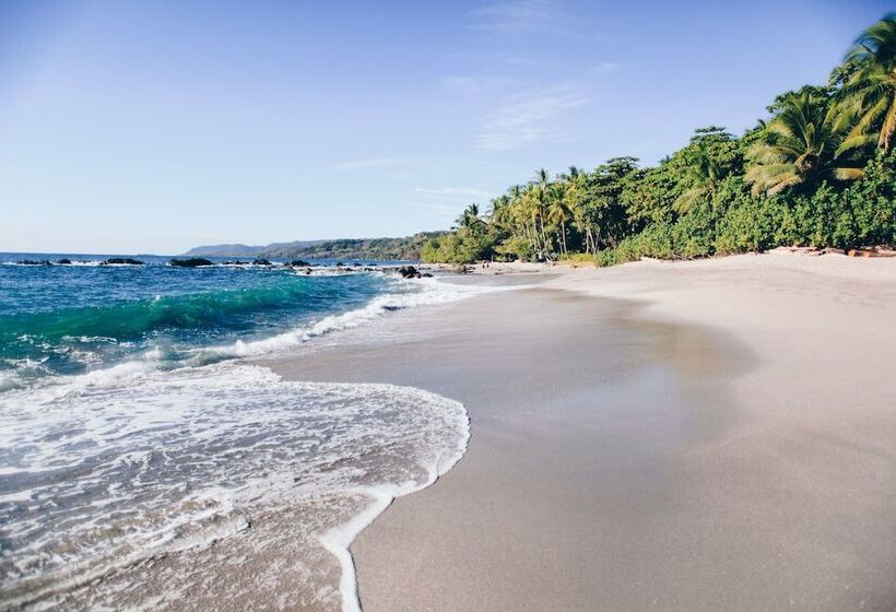 Ylang Ylang Beach Resort