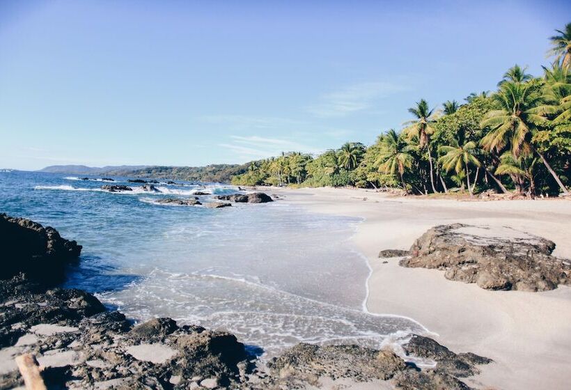 Ylang Ylang Beach Resort