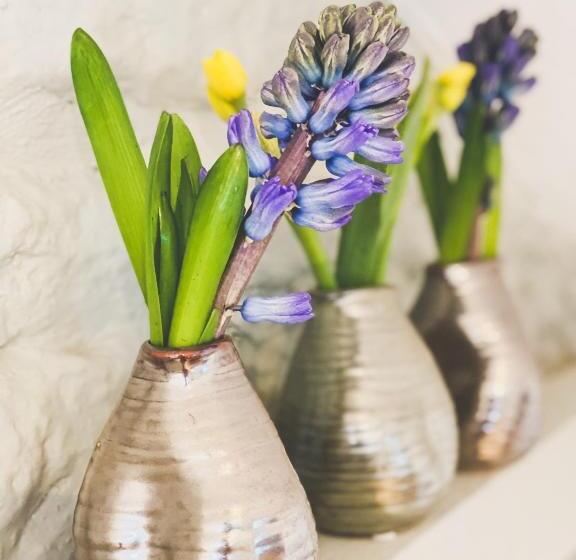 Bed and Breakfast The Loft In The Malt Barn Chipping Campden