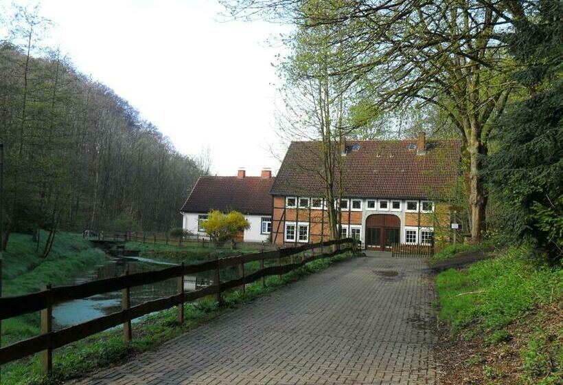 Höllenmühle Bed & Breakfast At The Mill Pond