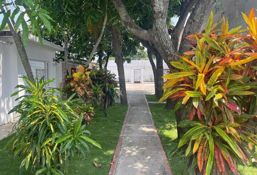 فندق Kalathea Casa