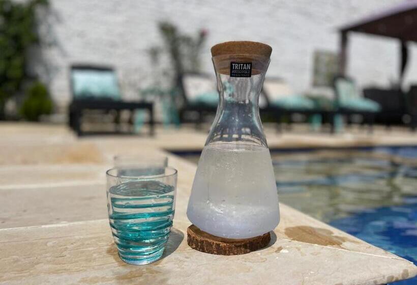 فندق Kalathea Casa