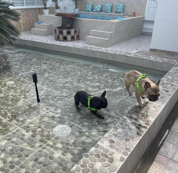 فندق Kalathea Casa