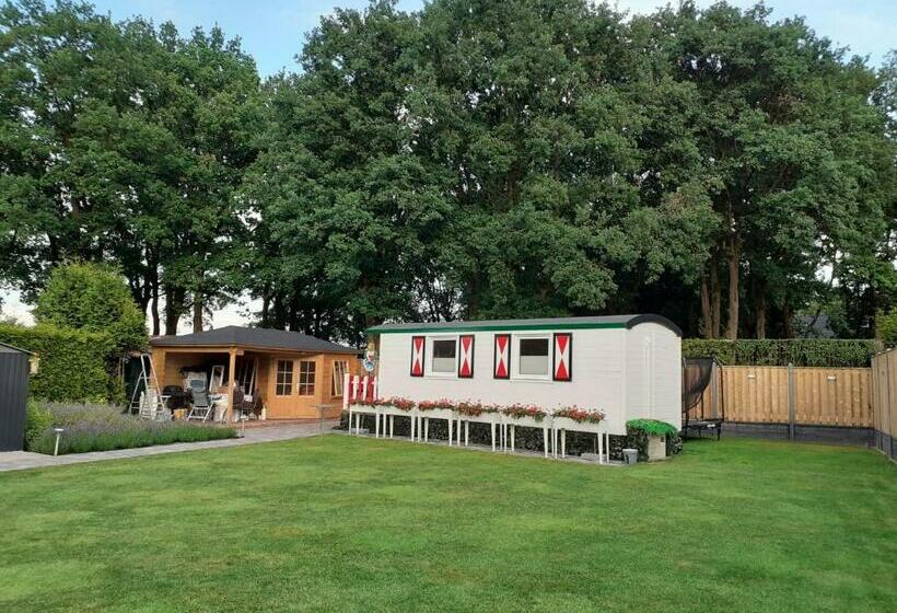 膳宿费 Pipowagen Bergeijk