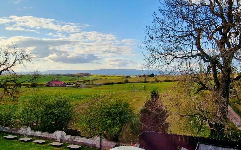 New Amazing The Black Wolf Suite The Grumpy Schnauzer B&b