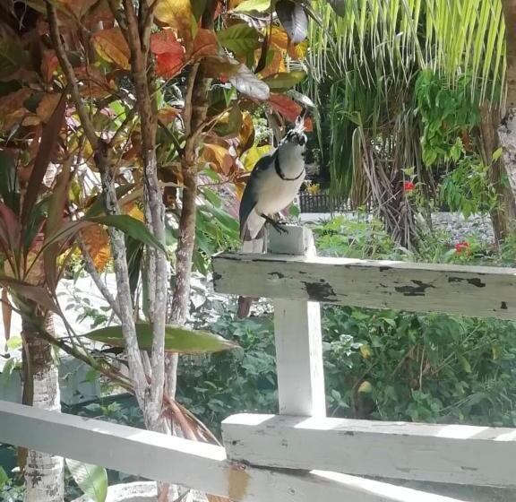 مبيت وإفطار Donde Familia Manito