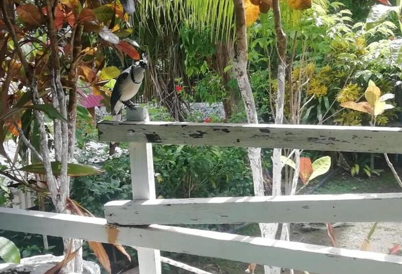 مبيت وإفطار Donde Familia Manito