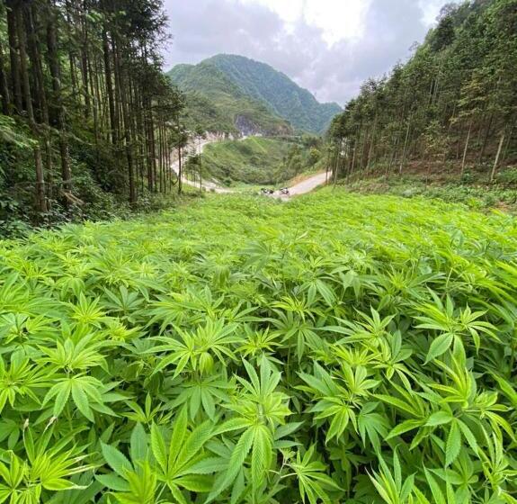 تختخواب و صبحانه Ha Giang Safari Hostel & Motorbikes