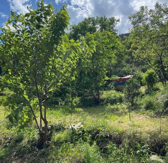 酒店 Rafting House