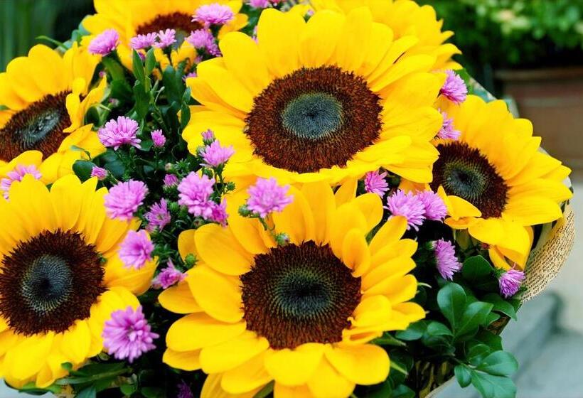 펜션 Apartamento Céntrico Zona Cultural