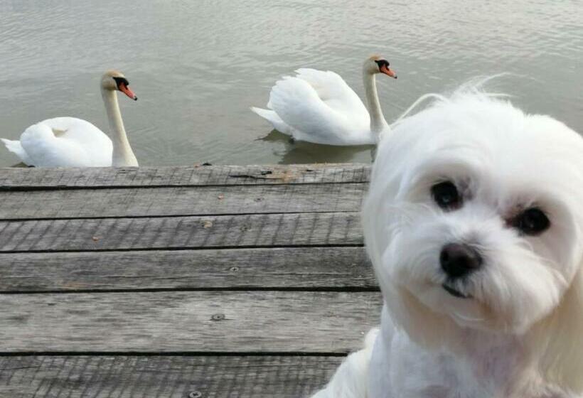 Пансион Spinning La Divici