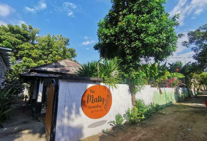 פנסיון The Mally Homestay