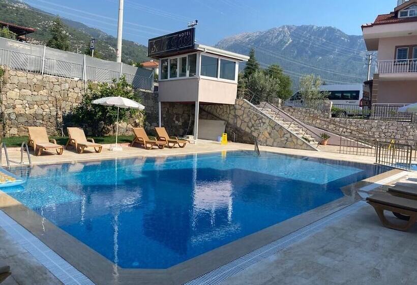 Bed and Breakfast Bella Rose