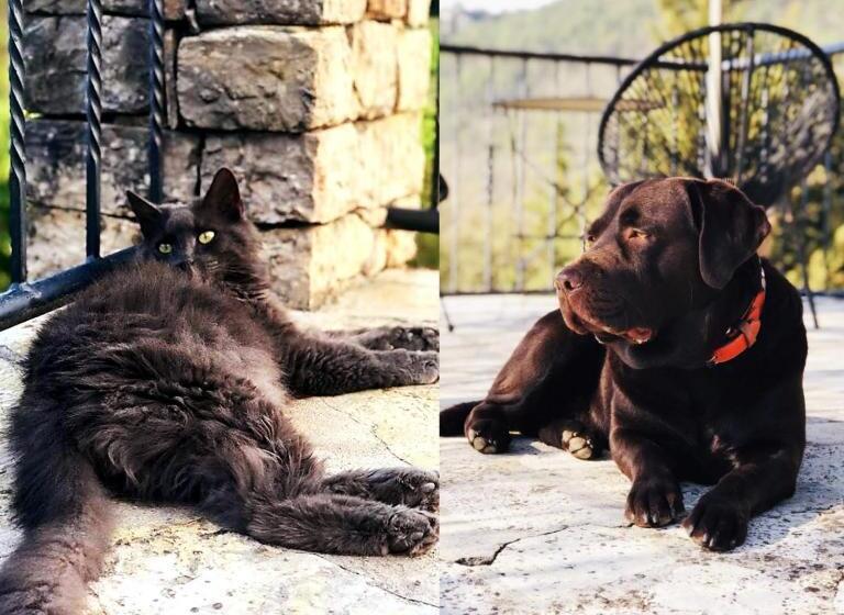 צימר Le Mas De San Lou