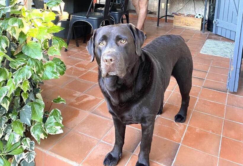 צימר Le Mas De San Lou