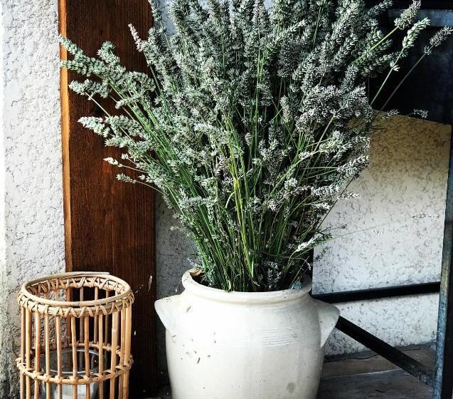 ベッドアンドブレックファースト Le Mas De San Lou