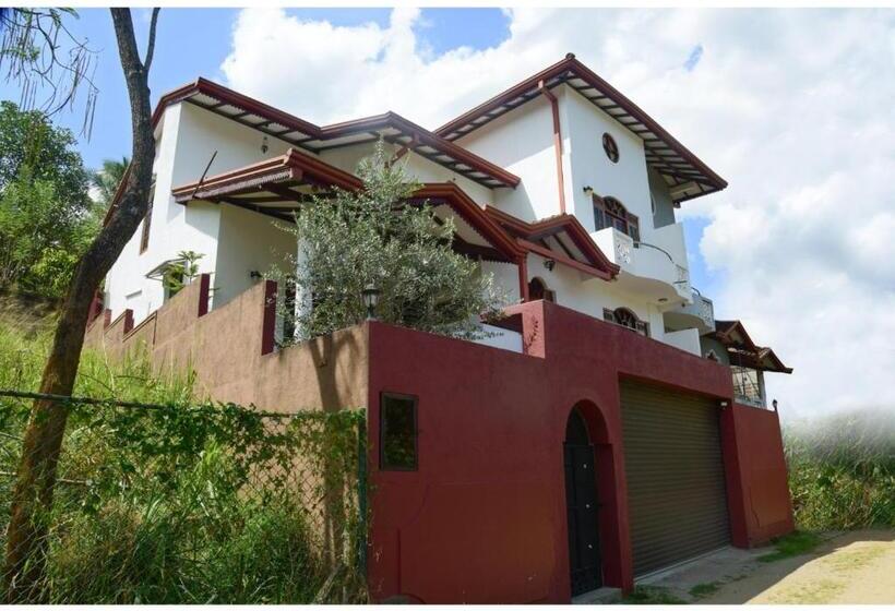 Bed and Breakfast The Olive Villa