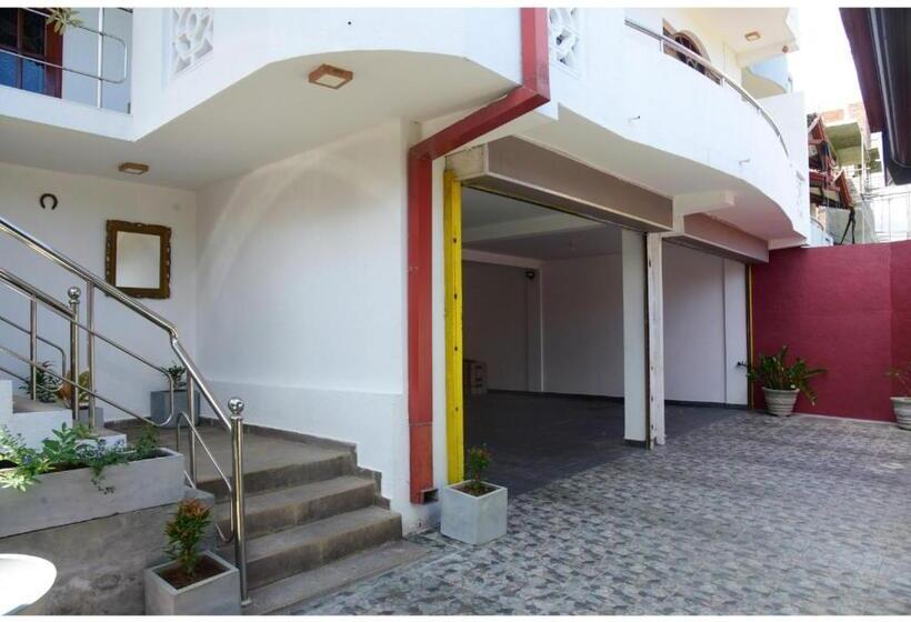 Bed and Breakfast The Olive Villa