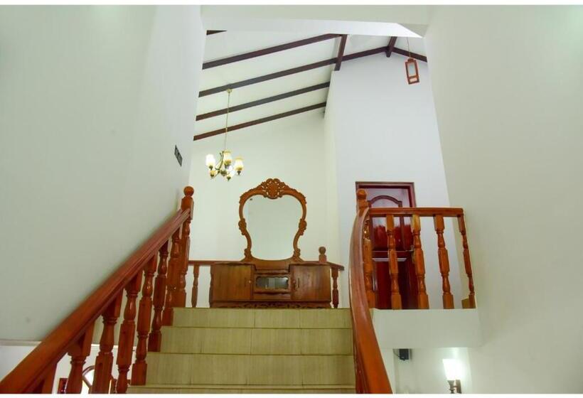 Bed and Breakfast The Olive Villa